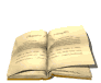primary school curriculum